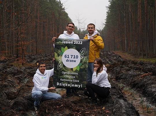 Grafika Jesień 2022 Ogrodzieniec#3